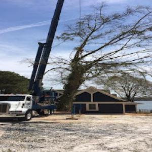 Arbortech of Anderson