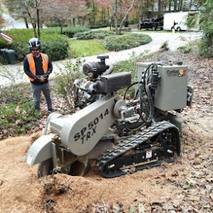 Stumps Removed