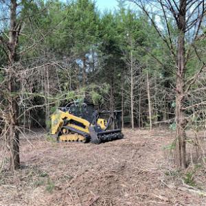 Juan Tree & Landscape Service