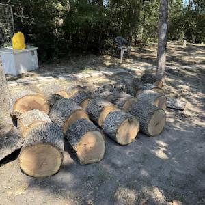 High Up Tree Service