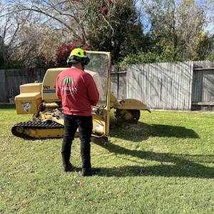 George’s Tree Service