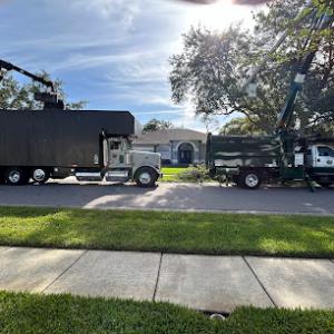 CM Tree Service