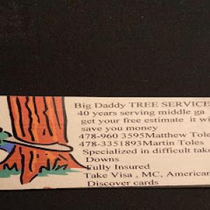 Big Daddy S Tree Service