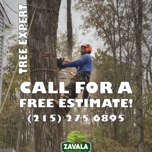 Zavala Tree Service & Landscaping