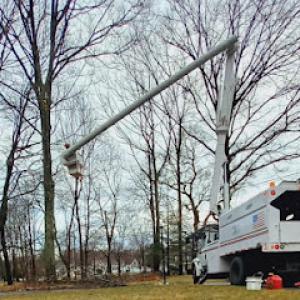 Diamond Landscaping & Tree Services