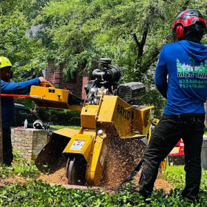 M&J Tree Professionals