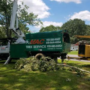 MAC Tree Service