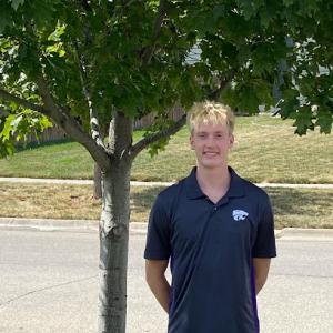 Breeze & Co. Landscaping