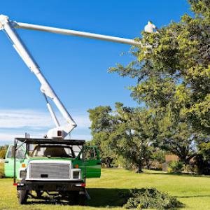 Specialty Tree & Bucket Service