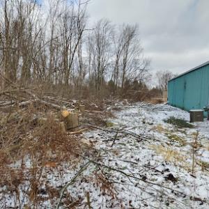 Deans Trees & Landscaping