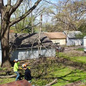 Premier Tree Service
