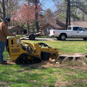 SI Stump Removal