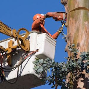 Clapper Crane & Tree Services