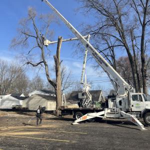Steve's Tree Services, Landscape, Hauling & Excavating