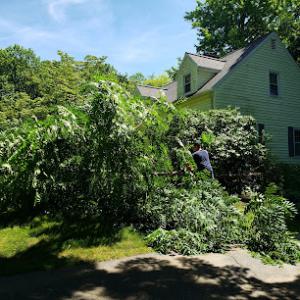 H&H Tree Service & Lawn Care