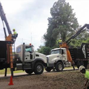 Robert's Tree Service