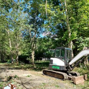 JJ'S Landscaping Plus Tree Service