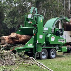Pace Tree Service