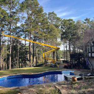 Battiste Tree Service