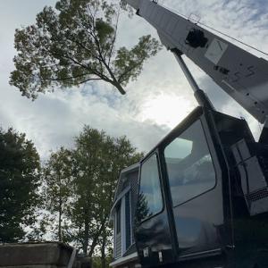 Material Processors Tree Removal Services
