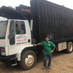 Alabama Tree Services