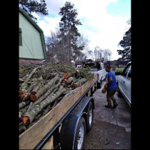 Four Seasons Tree Service
