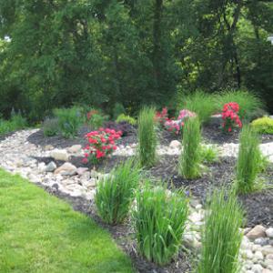 Allen Lawn Care & Landscaping