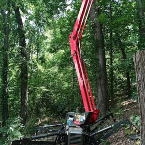 Superior Tree & Landscape