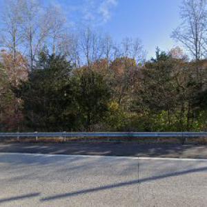 Dalton Tree Services