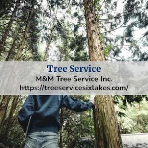 M&M Tree Service