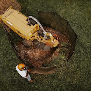 Full Tilt Stump Grinding