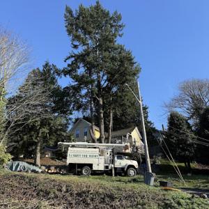 A-1 Safety Tree Service