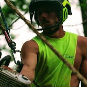 iClimb Tree Service