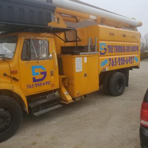 DG Tree Trimming & Removal