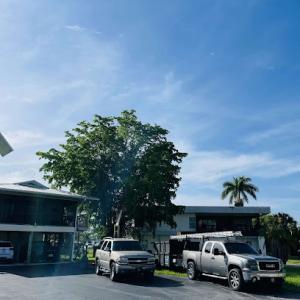 LA Tree Trimming & Removal