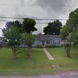 Patteson Stump Grinding