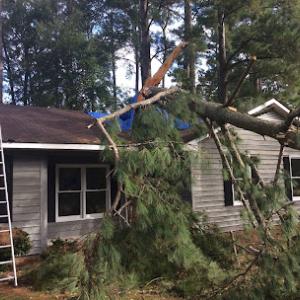 A&H Precision Tree Service