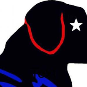 Black Lab Tree Care & Stump Grinding