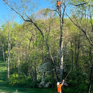 McCullough's Tree Service