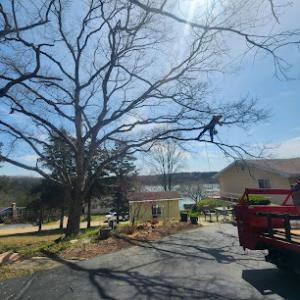 New Heights Tree Care