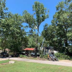 Robert Tree Service Company