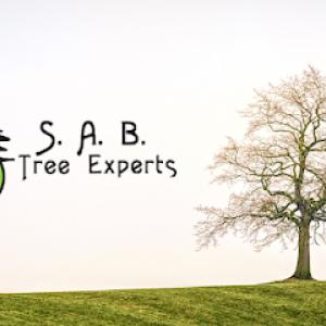 S. A. B. Tree Experts