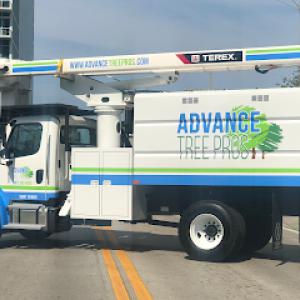 Advance Tree Pros Orlando