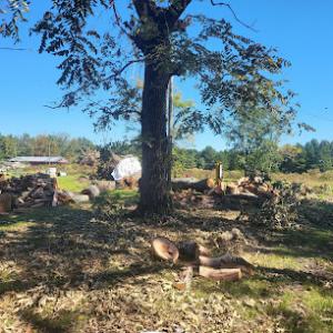 Robbie & Bobby services