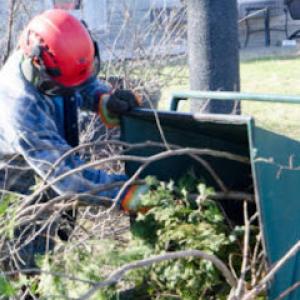 Krause Tree Service