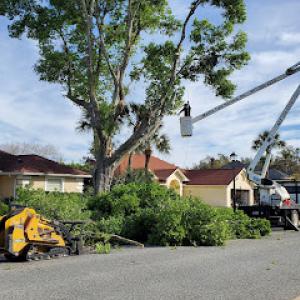 Martin Tree Service