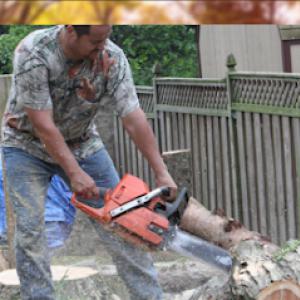 Rick's Tree Removal & Stump Grinding