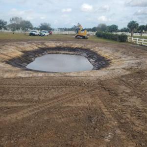 Freedom Tree & Land Development