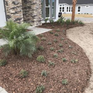 Coast Care Lawn Maintenance