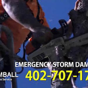 Kimball Tree Service